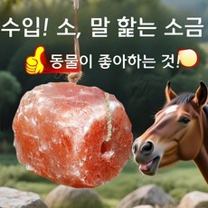 히말라야 암염 소금 블록 미네랄 영양 사료, 02.자연형 4-6파운드(구멍  끈)