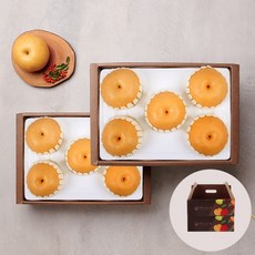 명절 선물 혼합과일 배/사과 선물세트 추석 설 제수용 선물용, 1개, 나주배2.7kg5과+나주배2.7kg5과