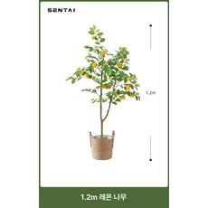 인조 식물 레몬트리 홈카페 인테리어 대형 나무 조화 모형 레몬나무조화 화분 거실 로비, 1.2m 레몬나무 스타일 A 바구니 포함