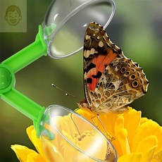 행마트 곤충채집용 집게 14cm 탐험놀이집게, 연두