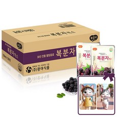 광야식품 복분자 믹스 (+대순이 캐릭터 포토카드 증정), 30개, 130ml