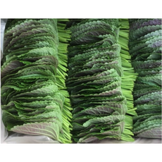 밀양 깻잎 500g, 1개