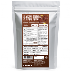 코빈 제로 알룰로스슈가 생초콜릿 라떼 저당 아이스 핫 코코아, 1개, 1개입, 500g