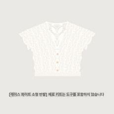 여성 여름 크로셰 니트 펀칭 레이스 가디건 숏 루즈핏 브이넥 데일리 반팔, 레이스화이트 스몰 반팔, 1개