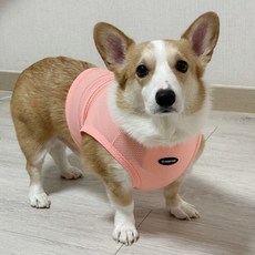 도기스타 웰시코기옷 시원한 여름 쿨링메시 크롭탑, 1개, 핑크