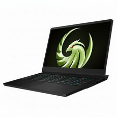 MSI 2023 알파 17 라이젠9 라이젠 7000 시리즈 지포스 RTX 4070, 블랙, 1TB, 16GB, WIN11 Home, 알파 17 C7VG-R9 QHD