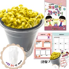 [오품] 콩나물 키우기