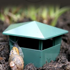 SUPER 달팽이 케이지 곤충용품