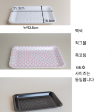 스티로폼 일회용 떡 야채 정육 건어물 족발 포장접시 66호 백색, 1개, 200개입