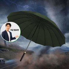쌍문상회 지금 필요한 24k장우산 장 살많은우산 장마 의전용 뼈대 수동 골프 24프레임 K31872EA