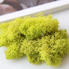 現貨 20克 乾燥苔蘚 永生苔蘚 DIY微景觀材料包 造景裝飾, 草綠