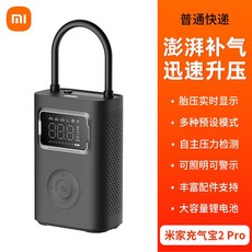 전동에어펌프 자충매트 바람넣는기계 자전거 타이어 공기펌프, 1개, 풍선 보물 2 Pro