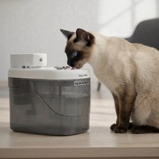고양이 무선 센서 자동 급수기 정수기 2L PCWR-T5, 1개, 혼합