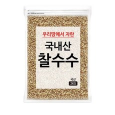 국내산 찰수수쌀, 2kg, 1개