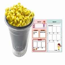 집소 콩나물 재배