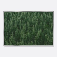 스웨리움 자연 풍경 감성 사진 미드센츄리 인테리어 포스터 그림 액자 침엽수림 No.1 가로형, A4 (210 x 297 mm), 포스터만 구입