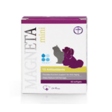 DrRay 반려동물 영양제, 60정, 오메가3, 1개