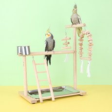 야오야오 테슬 그네 앵무새 원목 대형 놀이터, 1개