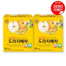 송원 우리차 도라지배차 40T, 1g, 40개입, 2개