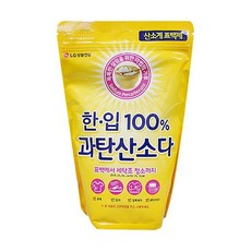 생활건강 한입100프로 과탄산소다 1KG 표백 세탁조 hes831Bh, 1개
