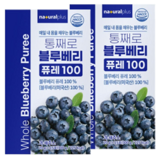 통째로 블루베리 퓨레 100% 간편 스틱, 30개, 20g