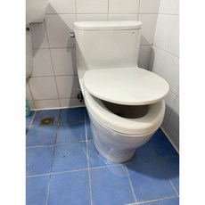 TOTO TC400cvk-1 緩降便蓋 上鎖式馬桶蓋 適用單體/分離式馬桶 白色, 1個, TC400cvk馬桶蓋