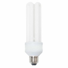 삼파장 컴팩트전구 EFTR EX-D 25W 주광색, 1개