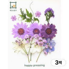 체크스토리 압화 컬러가든시리즈 누름꽃 꽃송이 압화재료 공예, 퍼플12(3팩), 퍼플