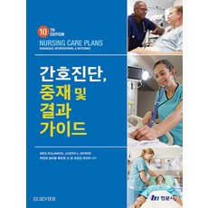 간호진단 중재 및 결과 가이드, Meg Gulanick, 현문사