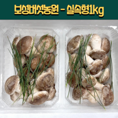 [븟븟] 보성버섯농원 송화고 송고 송화버섯 (실속형) 1kg, 1세트