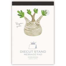 SCOPE 마루모노 다이컷 스탠드 메세지 카드 패드, 파키포디움 그락실리우스, 1개입, 1개