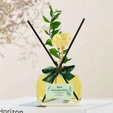 에인디 실내 공기정화 호흡기에 도움을 주는 리얼 유칼립투스 천연 디퓨저, 리얼유칼립투스디퓨저+섬유스틱5개, 100ml, 1개