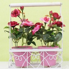 조화화분 매화 매장인테리어, 조화화분 - 클라넷 옐로우