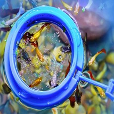 [케이에이치컴즈]물고기 먹이틀 물고기용품 푸딩용기 먹이급여기 관상어먹이, 상세페이지 참조