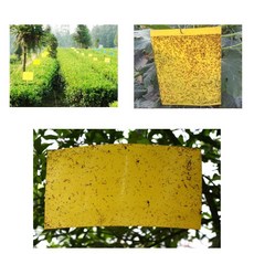 대형 벌레트랩 30X20 파리끈끈이