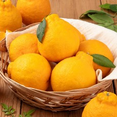 달콤한 제주직송 한라봉(가정용/선물용), 1박스, [가정용]한라봉 5kg 중대과(14-26과)