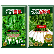 텃밭2종 열무+알타리 씨앗, 2개