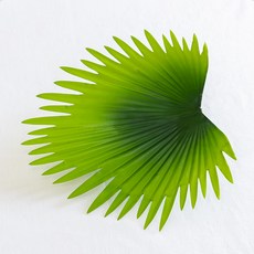 그린 큰 나뭇잎 인테리어 커튼집게 24cm 조화 실내 장식 꾸미기 소품, 6개, 소철