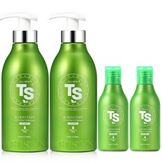 TS 올뉴플러스 탈모증상완화 샴푸 500g + 100g 세트, 2세트