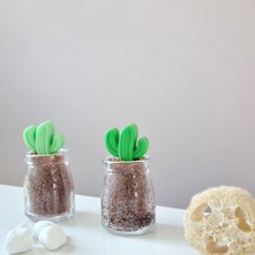 [사랑방공장] 블랙슈가 스크럽 선인장 화분 DIY 키트 흑설탕스크럽 블랙헤드 각질 비누, 1개완성, 1개, 1세트