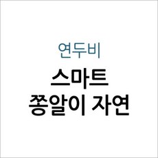 연두비 스마트 쫑알이 자연 ■세이펜버전. 최상급 /사진참조, 첨부사진참조