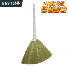 엑시트고고 도로비 싸리빗자루 갈대비 청소용빗자루 아파트용 도로빗자루 대빗자루 청소용 빗자루 플라스틱빗자루, 본상품, 1개