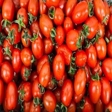 스마일프레쉬 싱싱한 대추 방울토마토, 1개, 대추방울토마토 2kg 대과 (1-2번과)