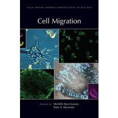 (영문도서)Cell Migration Hardcover, Cold Spring Harbor Laborato..., English, 9781621825319 Cold Spring Harbor Laborato..., English, 9781621825319