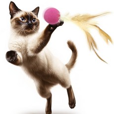 견행묘행 고양이 장난감 깃털 탱탱볼 탄력공, 3개, 컬러탱탱볼