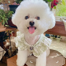 애견 공주옷 하네스 강아지 고양이 여름산책, 1개, 핑크 1개, 핑크