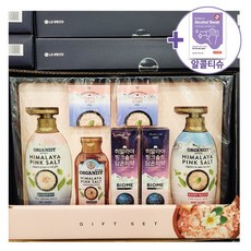 코스트코 히말라야 핑크솔트 선물세트 + 더메이런손소독제, 1개