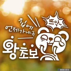 풀풀 자동차 스티커 장롱면허도로연수