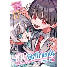 (영문도서)The 100 Girlfriends Who Really Really Really Really Really Love You Vol. 17 Paperback, Ghost Ship, English, 9798893737479