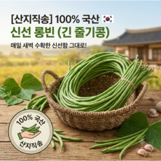 국내재배 줄콩/롱빈쟝떠우 길다란 실당콩 볶아먹는 채당콩 껌질콩 Dau 채두, 1kg, 1개